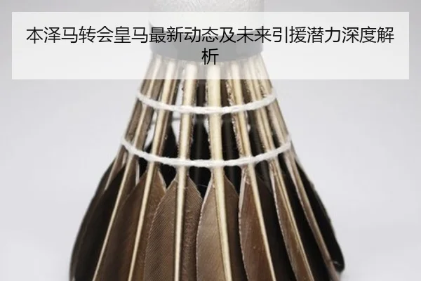 本泽马转会皇马最新动态及未来引援潜力深度解析